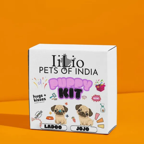 Gift_Customized_Pet_Products_Box_With_Essential_Products